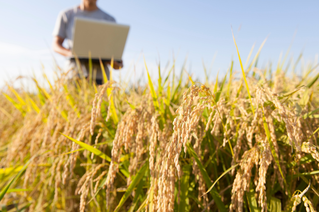 Fundos imobiliários de agro e de escritório ganham atenção de bancão; veja lista de&nbsp;recomendados